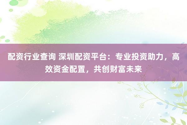 配资行业查询 深圳配资平台：专业投资助力，高效资金配置，共创财富未来