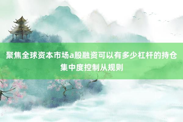 聚焦全球资本市场a股融资可以有多少杠杆的持仓集中度控制从规则