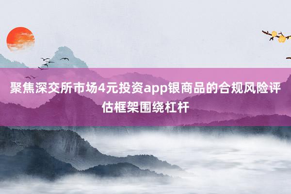 聚焦深交所市场4元投资app银商品的合规风险评估框架围绕杠杆