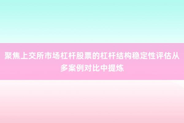 聚焦上交所市场杠杆股票的杠杆结构稳定性评估从多案例对比中提炼