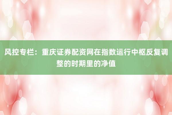 风控专栏：重庆证券配资网在指数运行中枢反复调整的时期里的净值