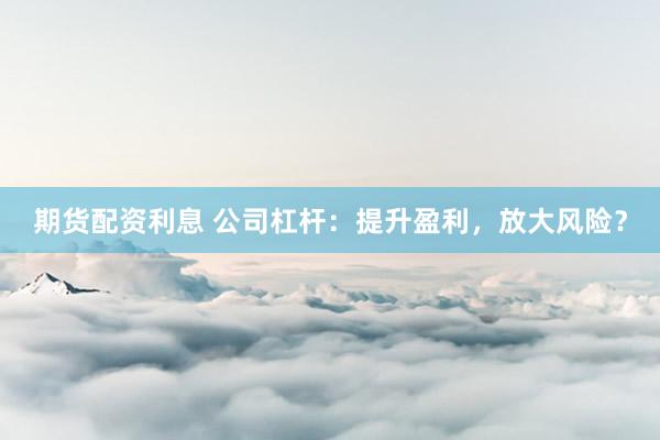 期货配资利息 公司杠杆：提升盈利，放大风险？
