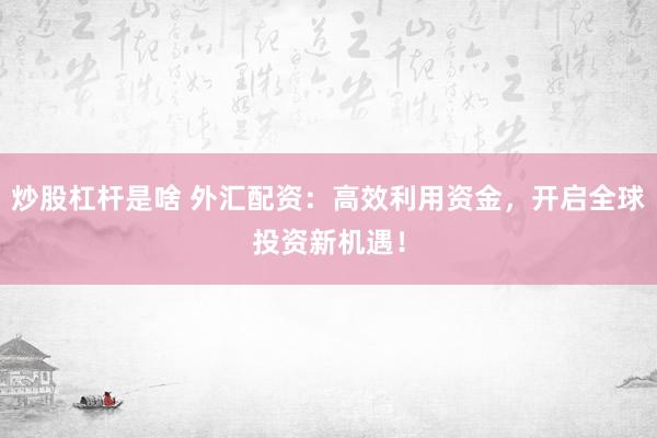炒股杠杆是啥 外汇配资：高效利用资金，开启全球投资新机遇！